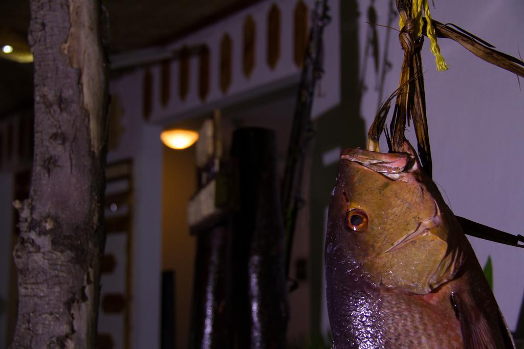 Alvi Star Inn Thulhaadhoo Zewnętrze zdjęcie