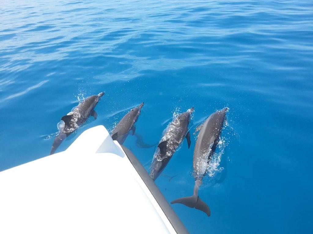 Alvi Star Inn Thulhaadhoo Zewnętrze zdjęcie